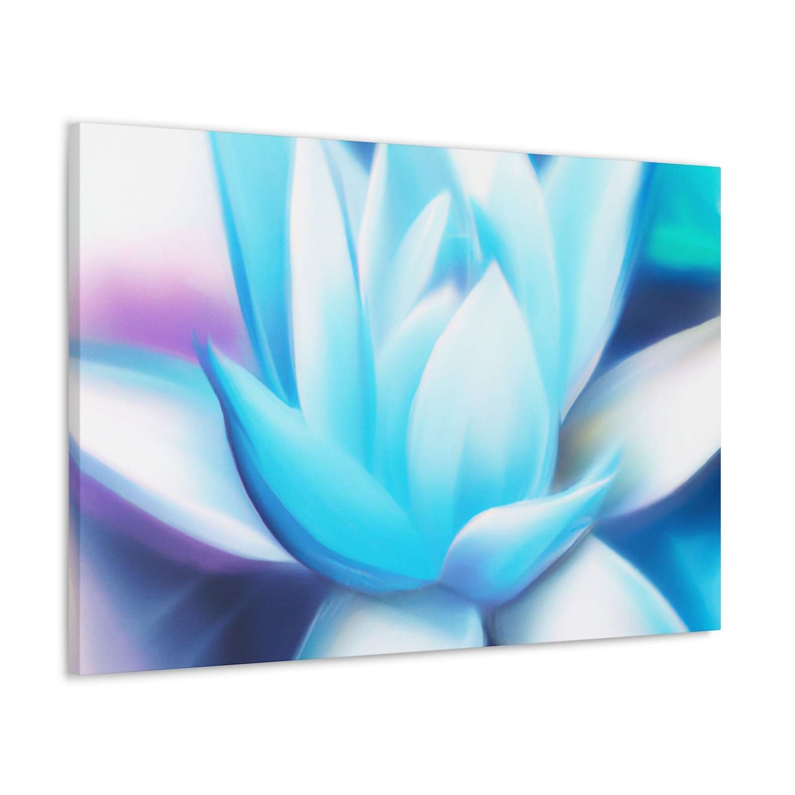 Callistemon Amabilis- Canvas