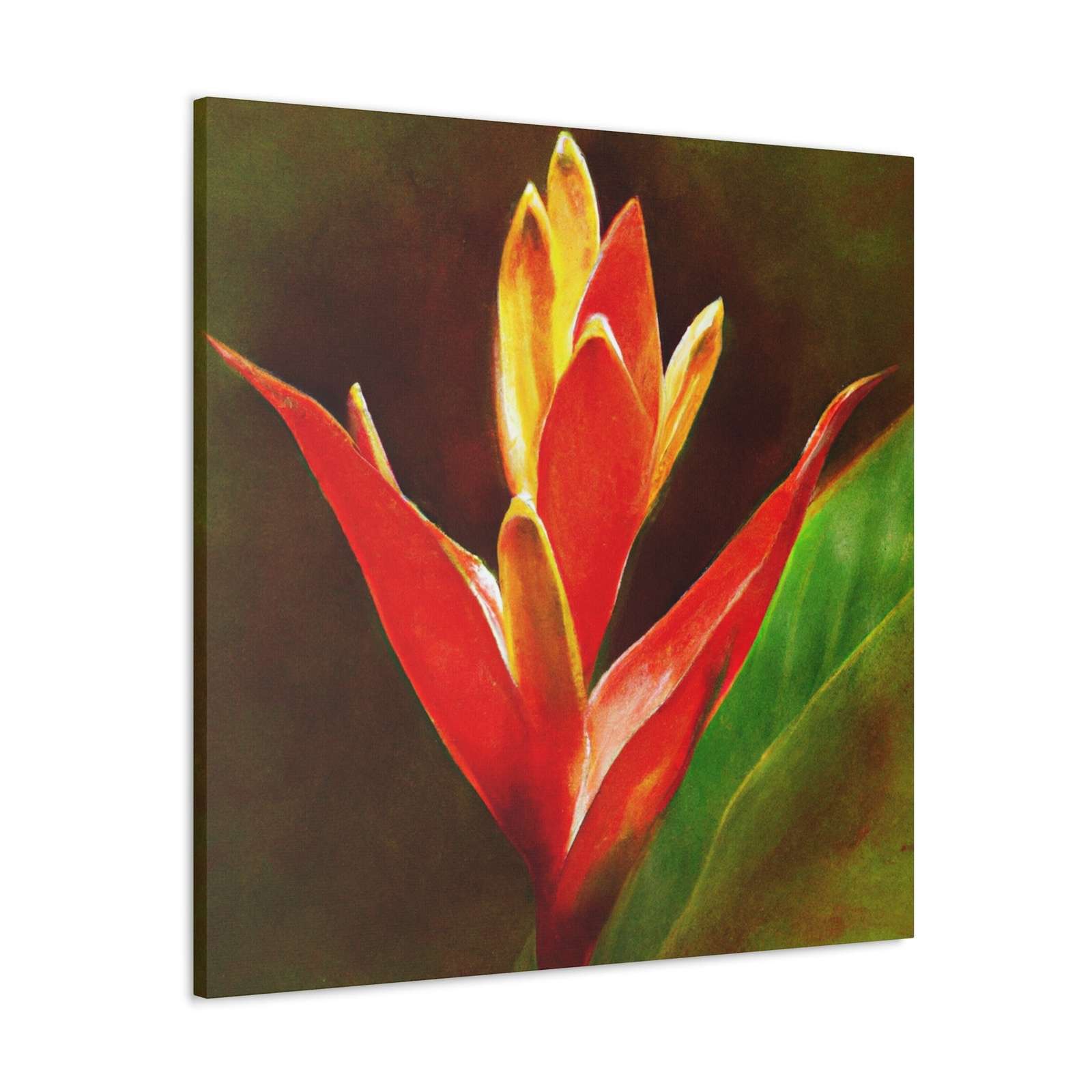 Caelum Alba.- Canvas