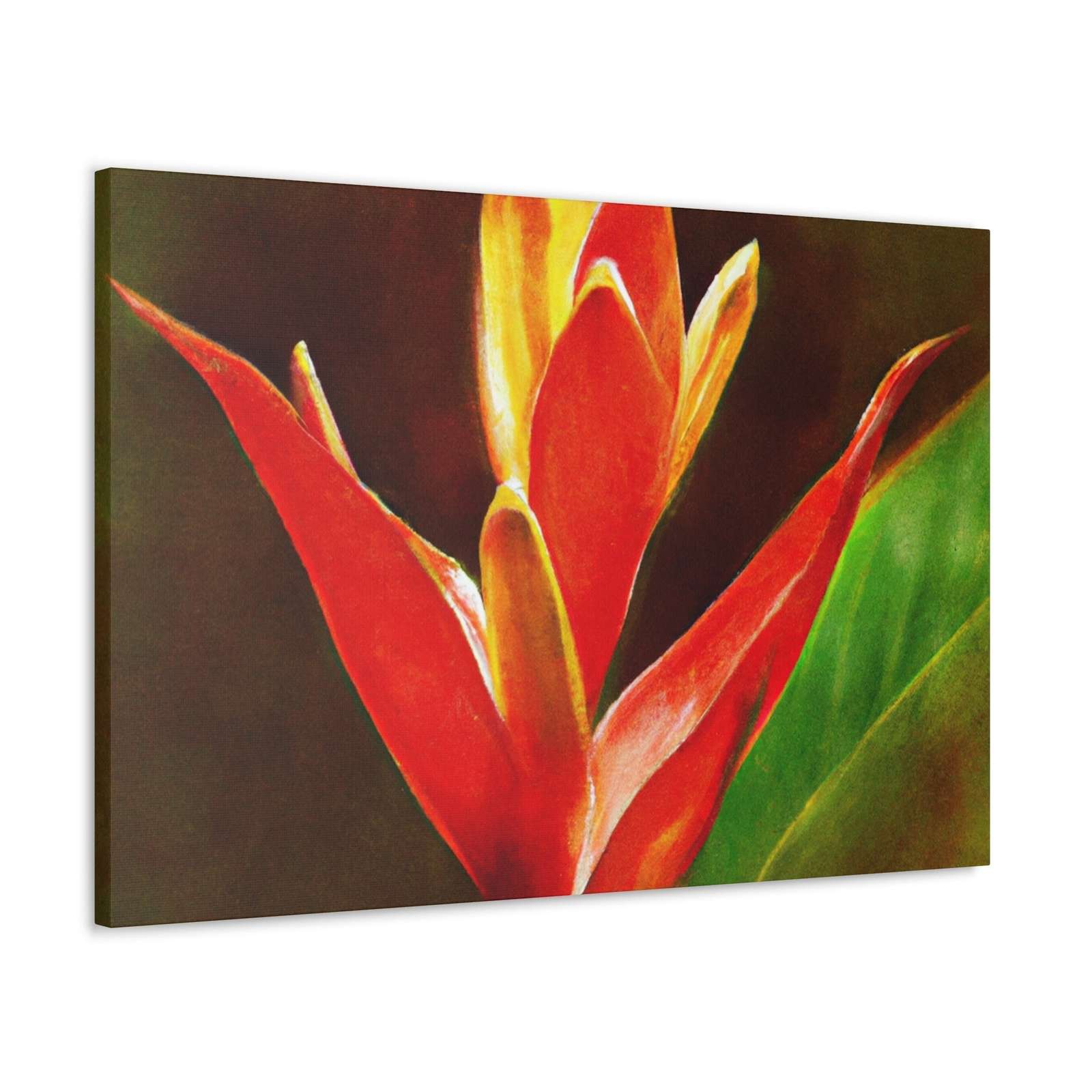 Caelum Alba.- Canvas
