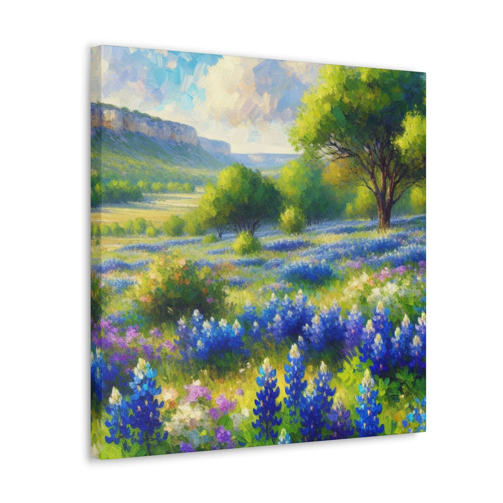 Lizbeth Allenander- Canvas