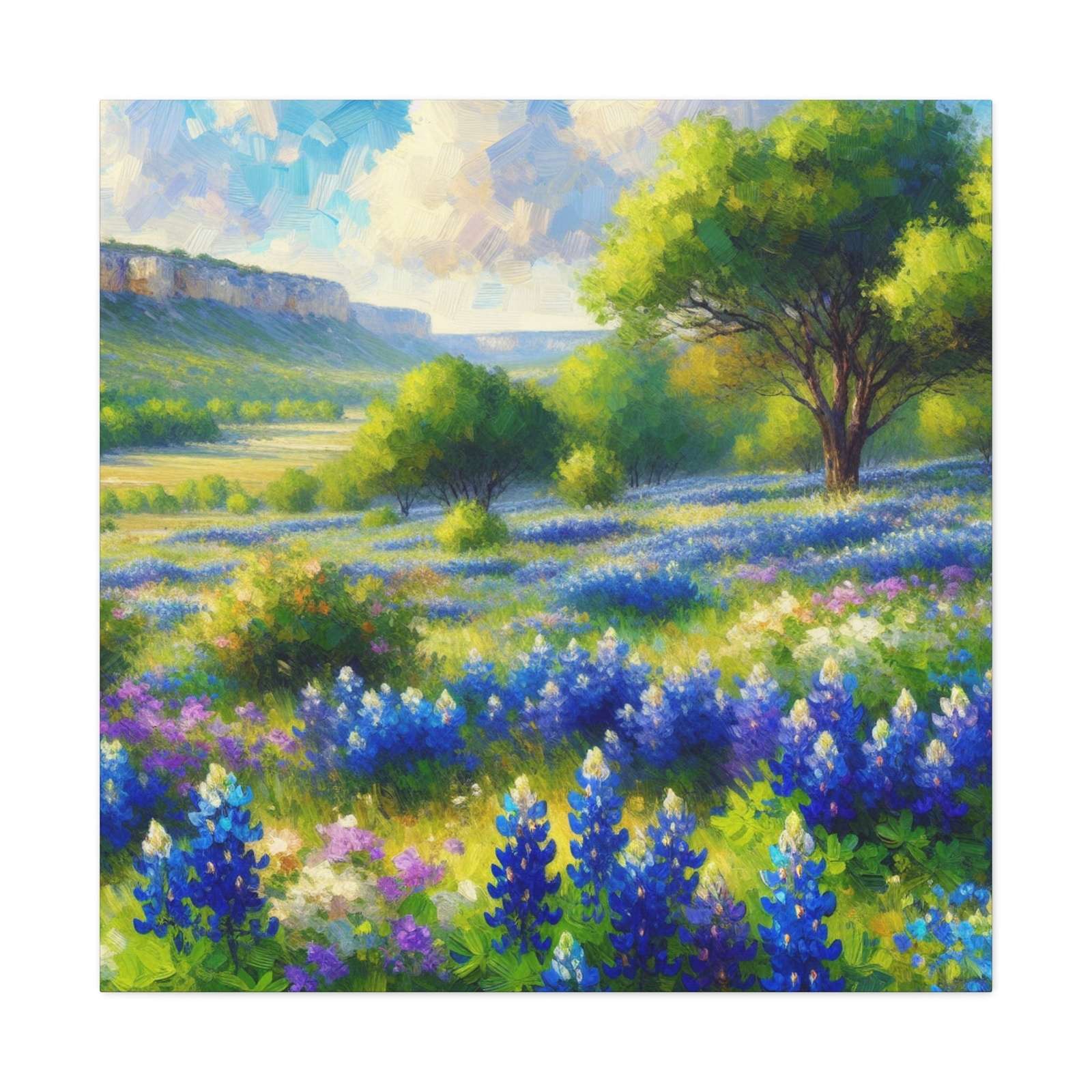 Lizbeth Allenander- Canvas