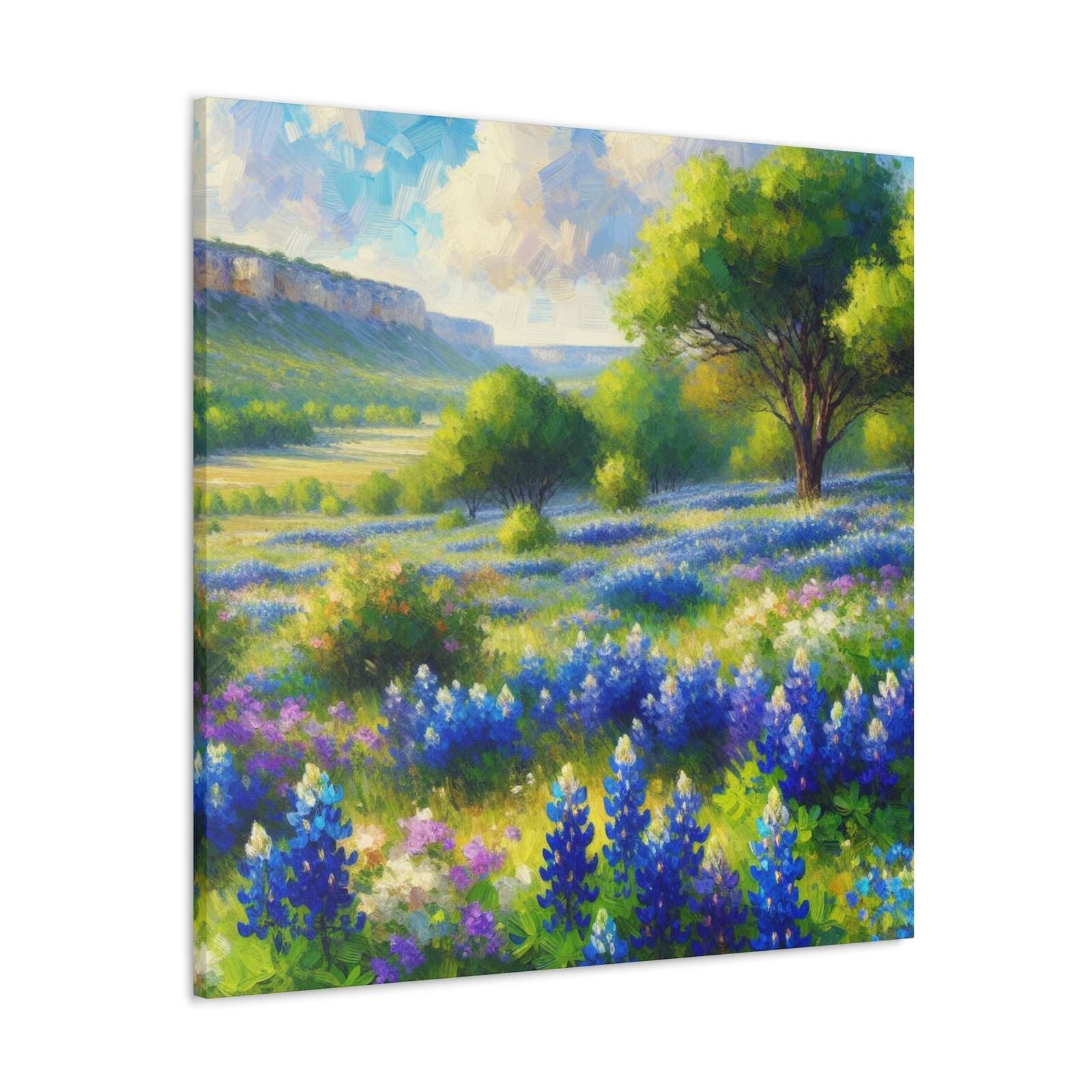Lizbeth Allenander- Canvas