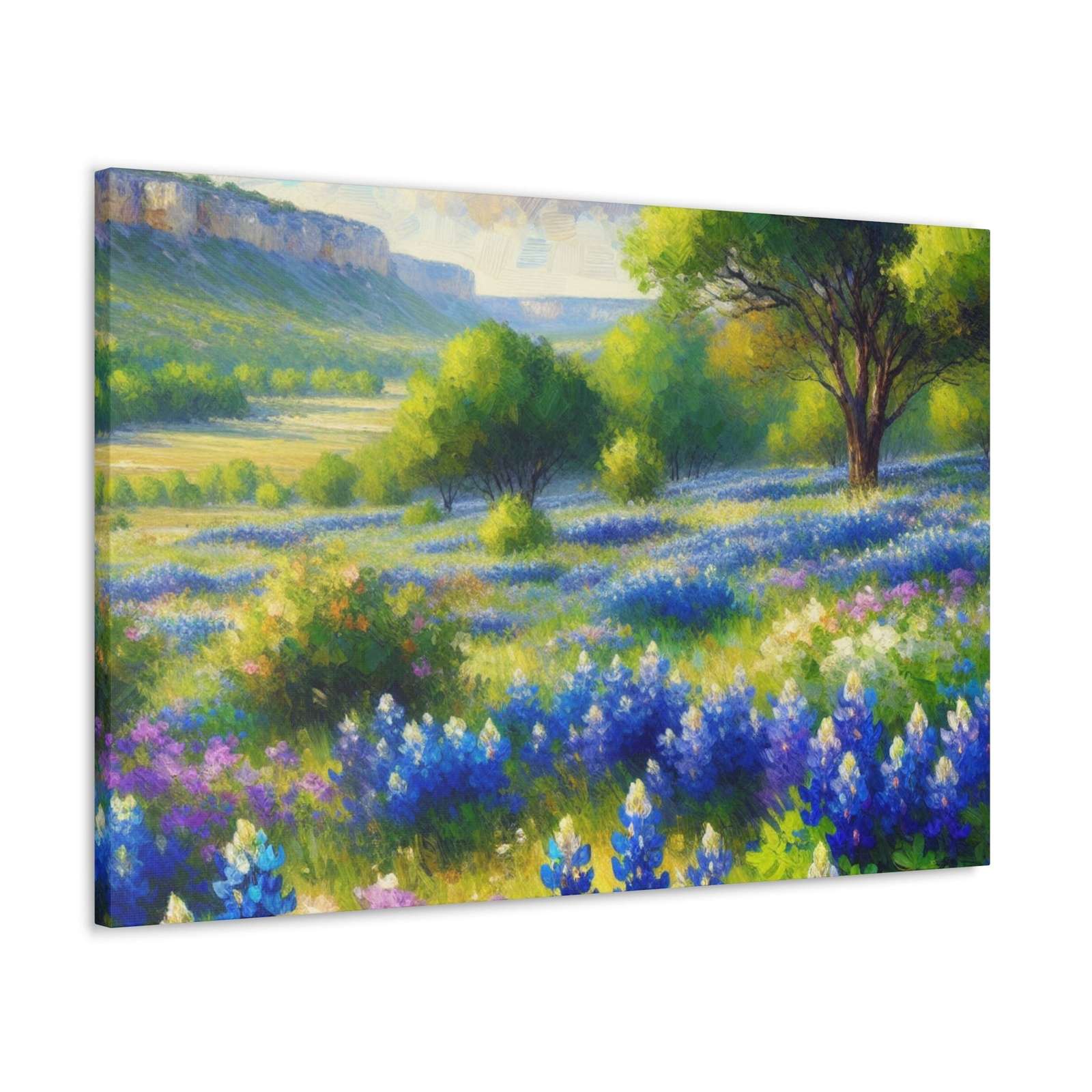Lizbeth Allenander- Canvas