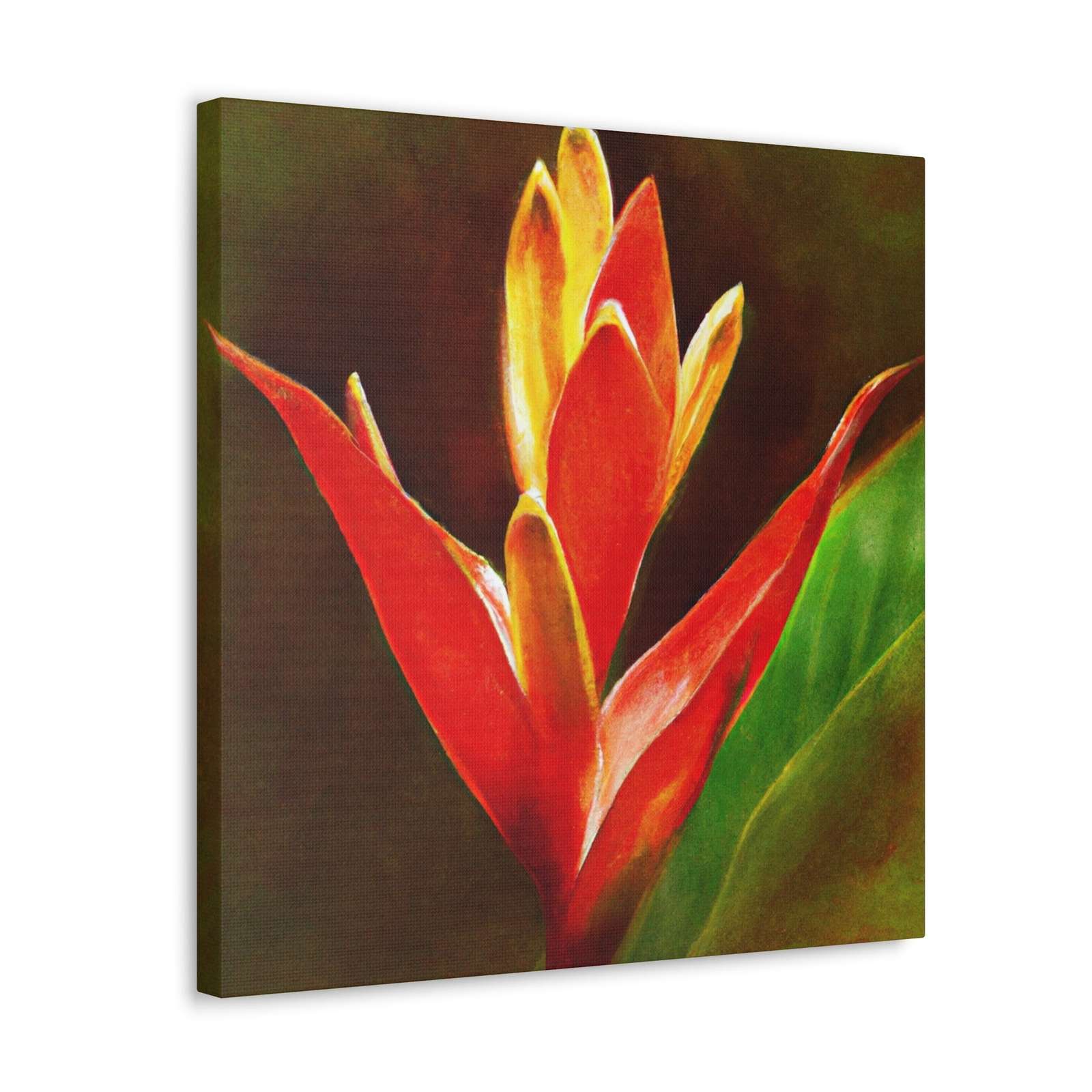 Caelum Alba.- Canvas