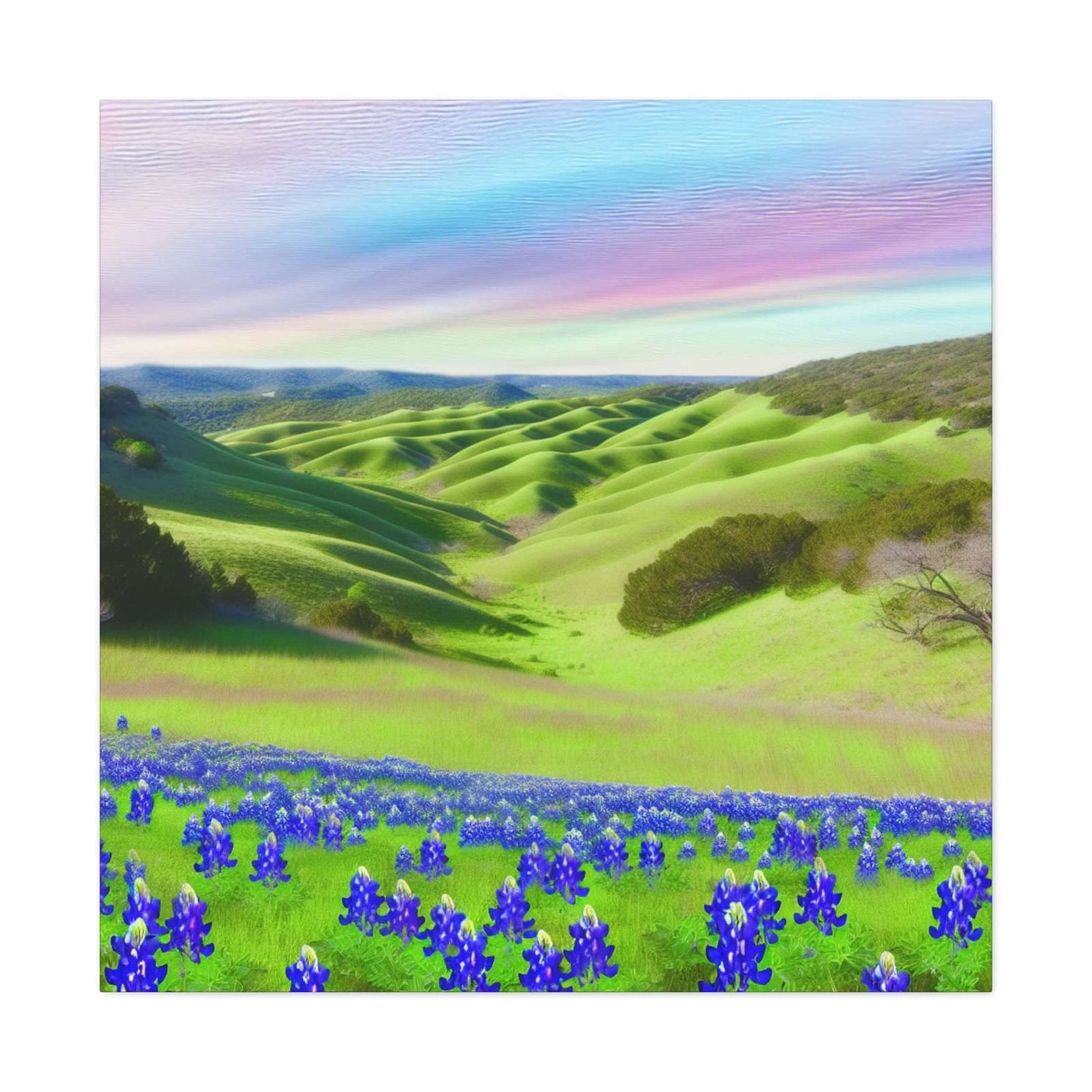 Venus Texana- Canvas