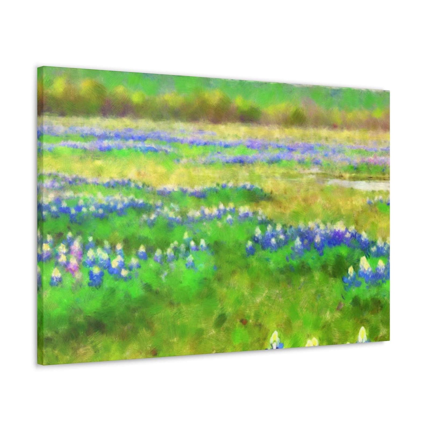 Lone Star Susannah- Canvas
