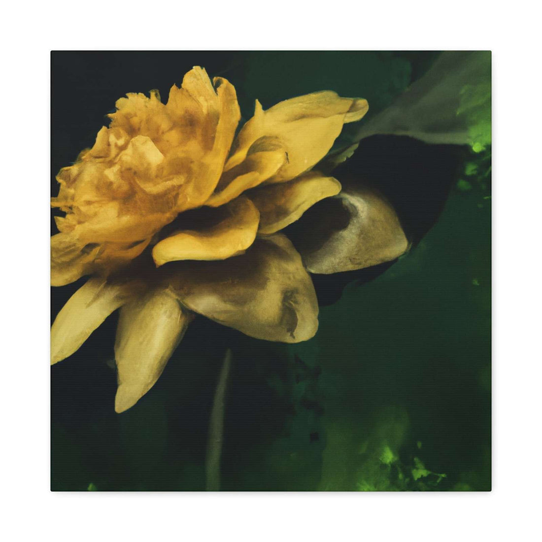 Bellatora Rubroflora- Canvas