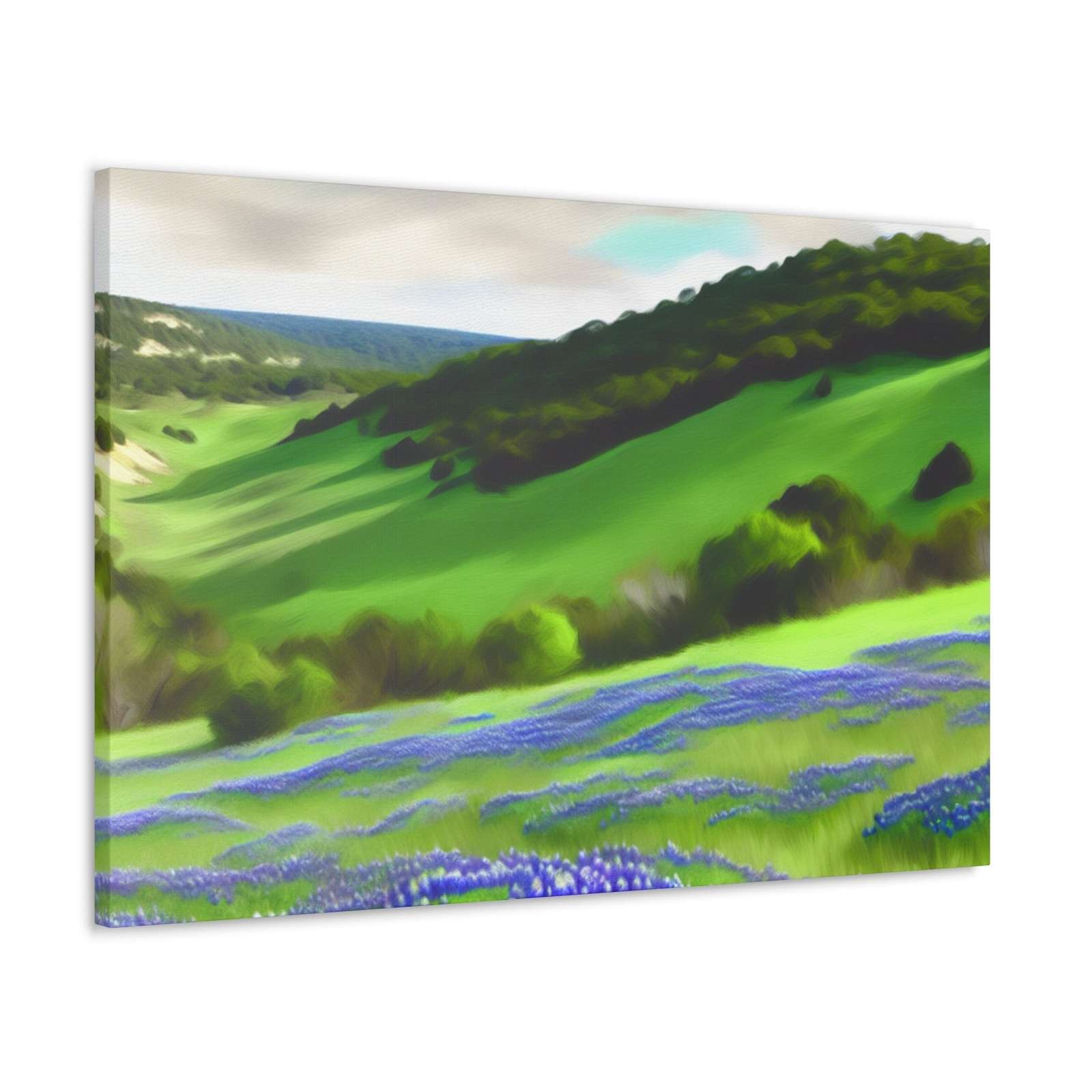 Consuela Garcia de la Vega- Canvas