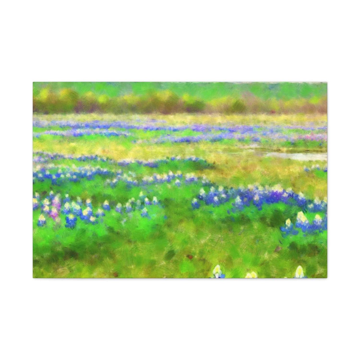 Lone Star Susannah- Canvas
