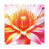 Crimson Hibiscane- Canvas