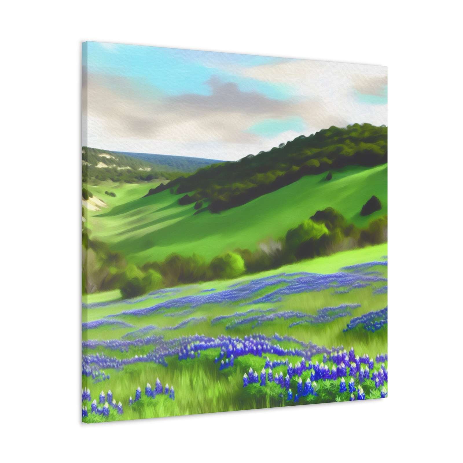 Consuela Garcia de la Vega- Canvas