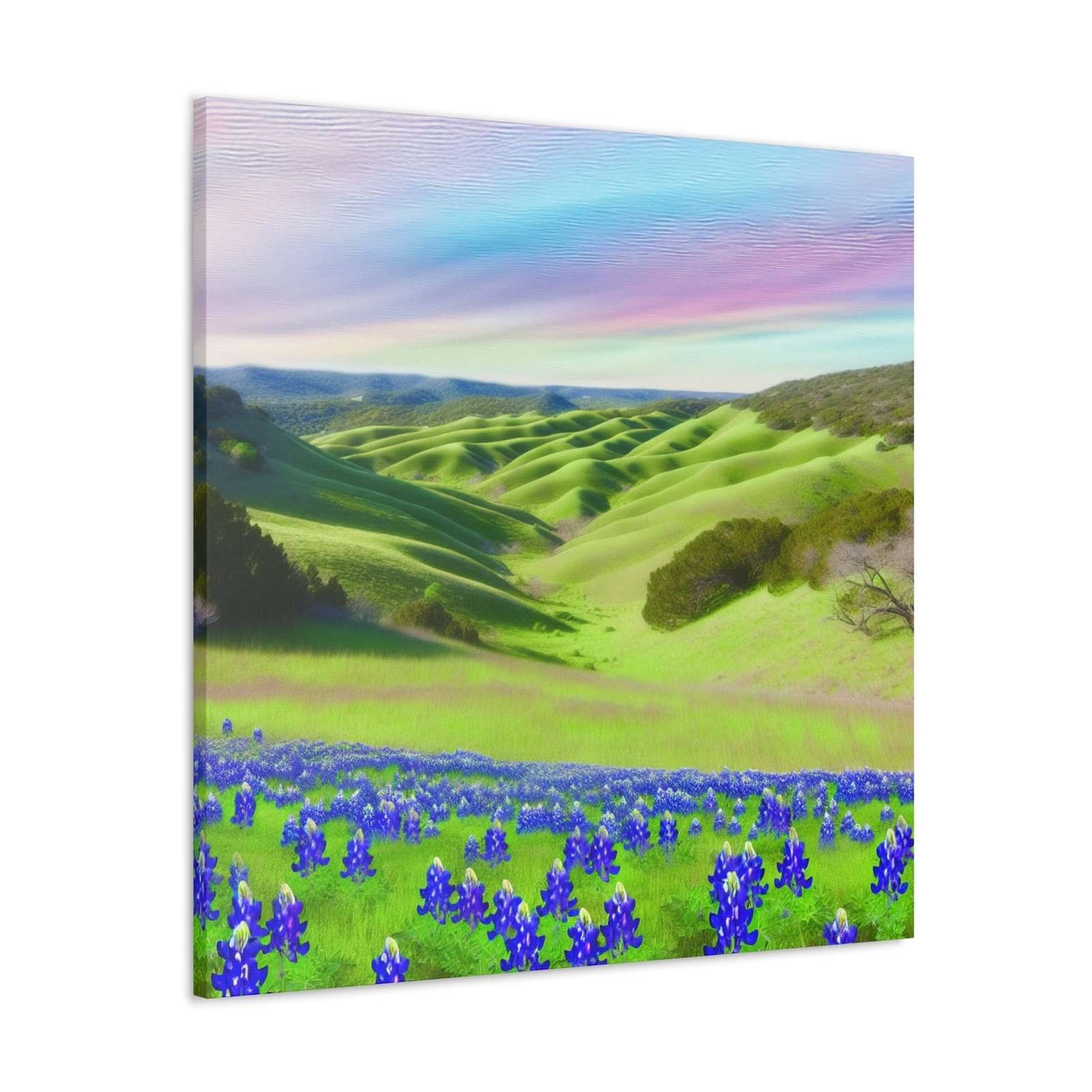 Venus Texana- Canvas
