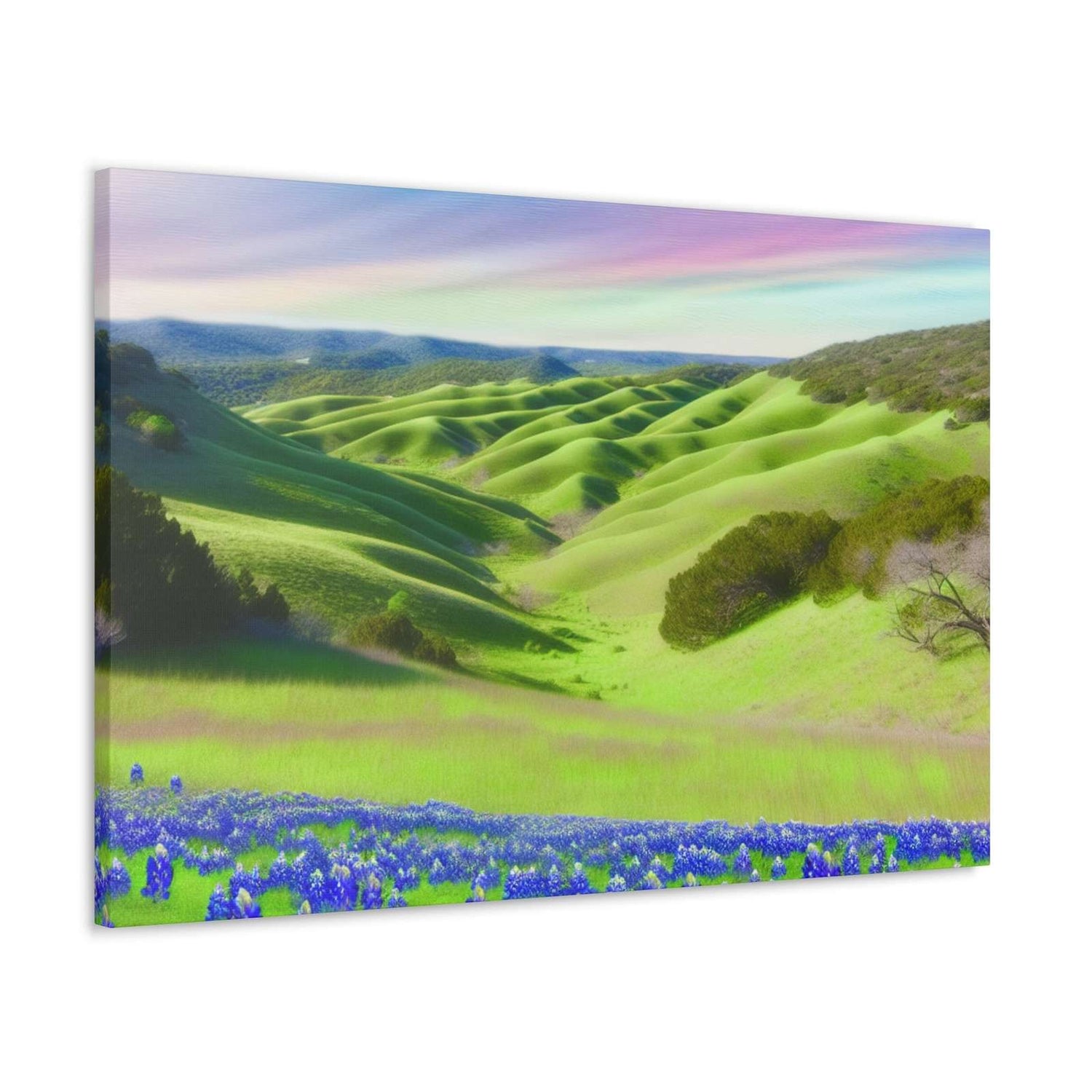 Venus Texana- Canvas