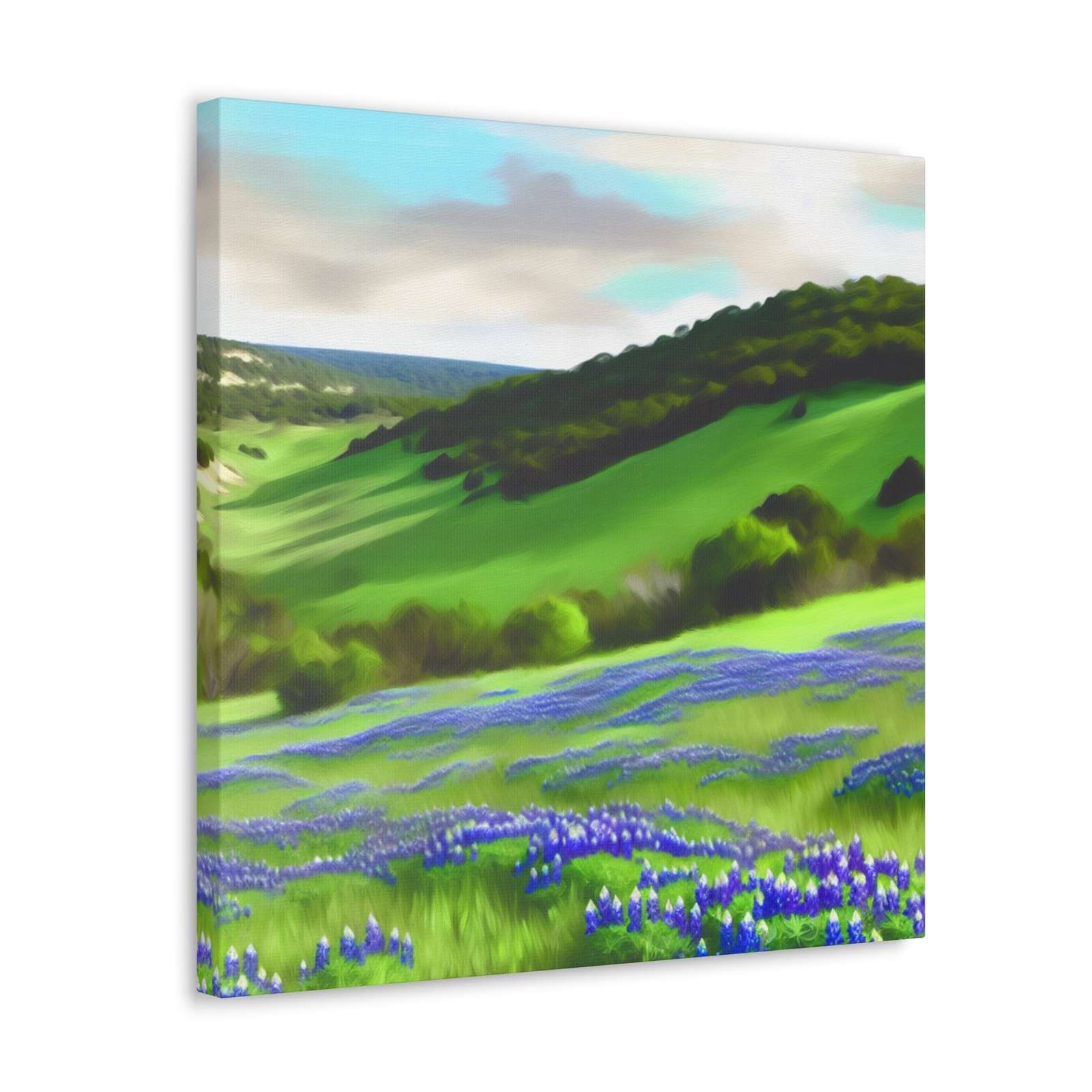 Consuela Garcia de la Vega- Canvas
